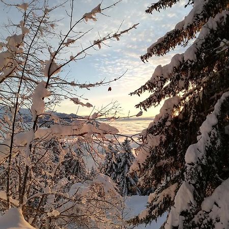 Appartamento Studio Au Clos Des Gentianes Collet D'Allevard Esterno foto